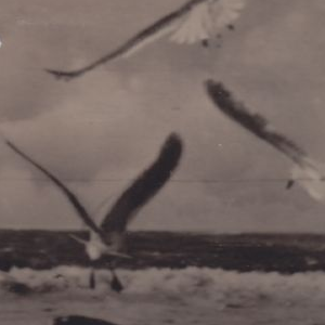Ausschnitt zur Qualitätsprüfung vom Digitalen Bild Qualität