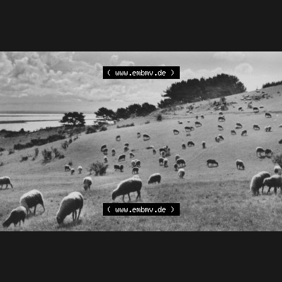 Foto mit Ansicht der DDR Bezirk Rostock, Kreis Rügen, DDR Insel Hiddensee 1970, 10. Landschaft bei Kloster, Heldge-Verlag KG, Köthen-Anh, Heldge-Verlag... Sammlung