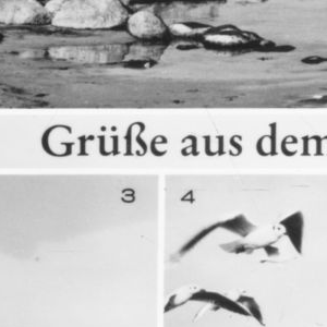 Qualität