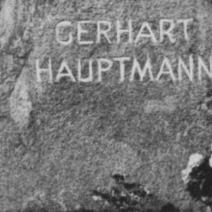 Ausschnitt zur Qualitätsprüfung vom Digitalen Bild Qualität