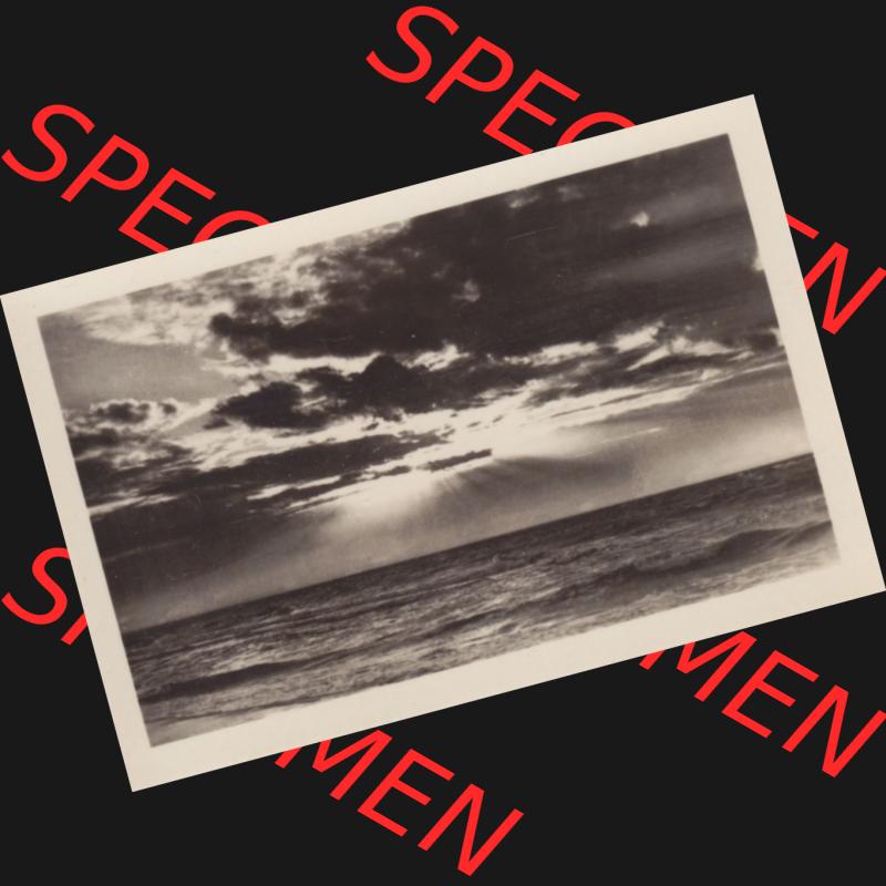 Alte Foto-Ansicht DDR Bezirk Rostock, Kreis Wolgast, Insel Usedom Ostseebad Koserow 1956, 6 Sonnenaufgang oder Sonnenuntergang, Koserow a. Usedom. DDR Bezirk Rostock,... Sammlung