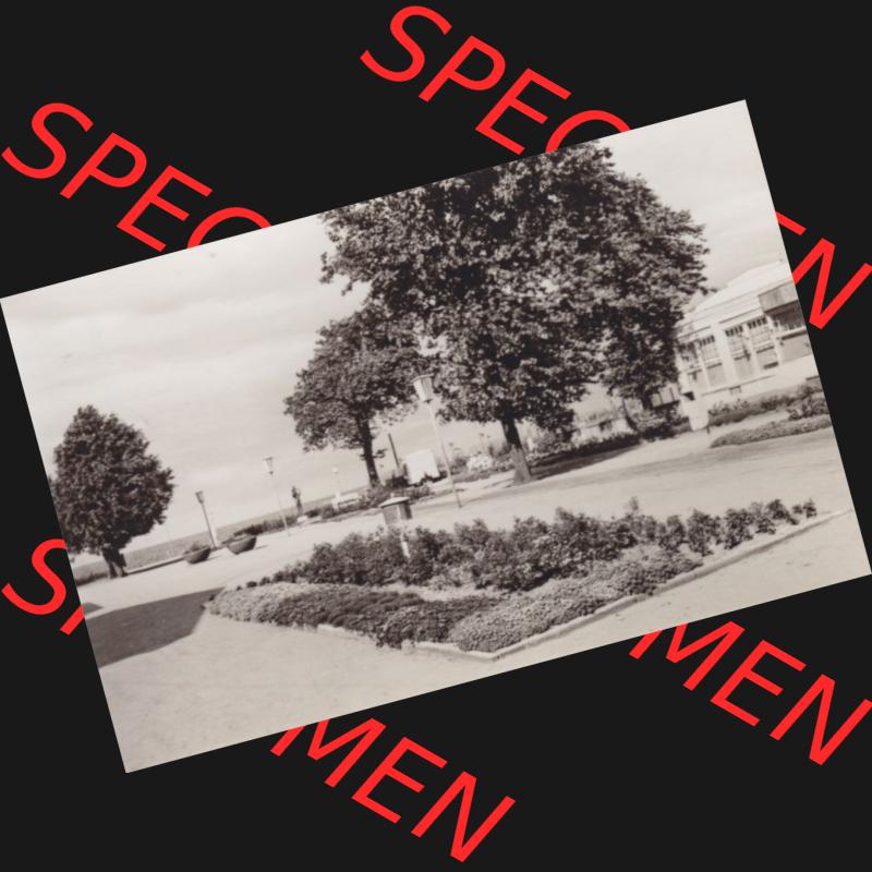 Alte Foto-Ansichten DDR Bezirk Rostock, Kreis Bad Doberan, Ostseebad Kühlungsborn 1971, 2. Strandstraße. Altes Foto der DDR Bezirk Rostock, Kreis Bad Doberan,... Sammlung