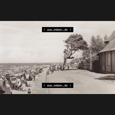 Alte Foto-Ansichten DDR Bezirk Rostock, Kreis Bad Doberan, Ostseebad Kühlungsborn 1971, 7. Ostseebad Kühlungsborn. Altes Foto der DDR Bezirk Rostock, Kreis... Sammlung