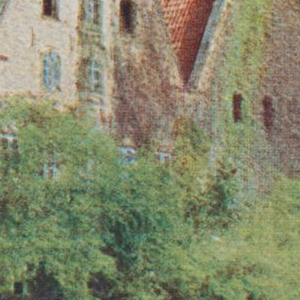Ausschnitt zur Qualitätsprüfung vom Digitalen Bild Qualität