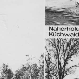 Ausschnitt zur Qualitätsprüfung vom Digitalen Bild Qualität