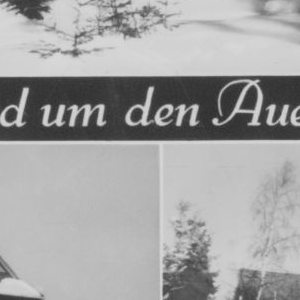 Ausschnitt zur Qualitätsprüfung vom Digitalen Bild Qualität