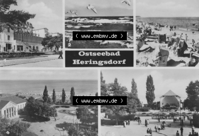 Seebad Heringsdorf 1971, Möwen am Strand, Kulturhaus, Verlag Felix Setecki Berlin, zum herunterladen freigegeben Sammlung