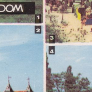 Ausschnitt zur Qualitätsprüfung vom Digitalen Bild Qualität