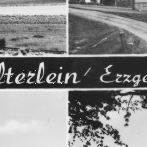 Ausschnitt zur Qualitätsprüfung vom Digitalen Bild Qualität