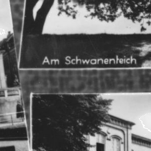 Ausschnitt zur Qualitätsprüfung vom Digitalen Bild Qualität