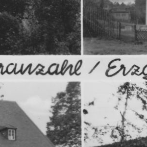 Ausschnitt zur Qualitätsprüfung vom Digitalen Bild Qualität
