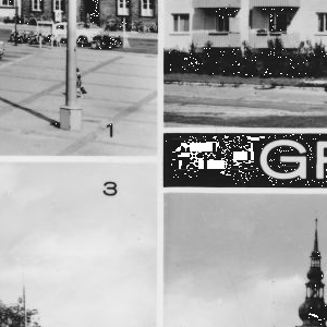 Ausschnitt zur Qualitätsprüfung vom Digitalen Bild Qualität