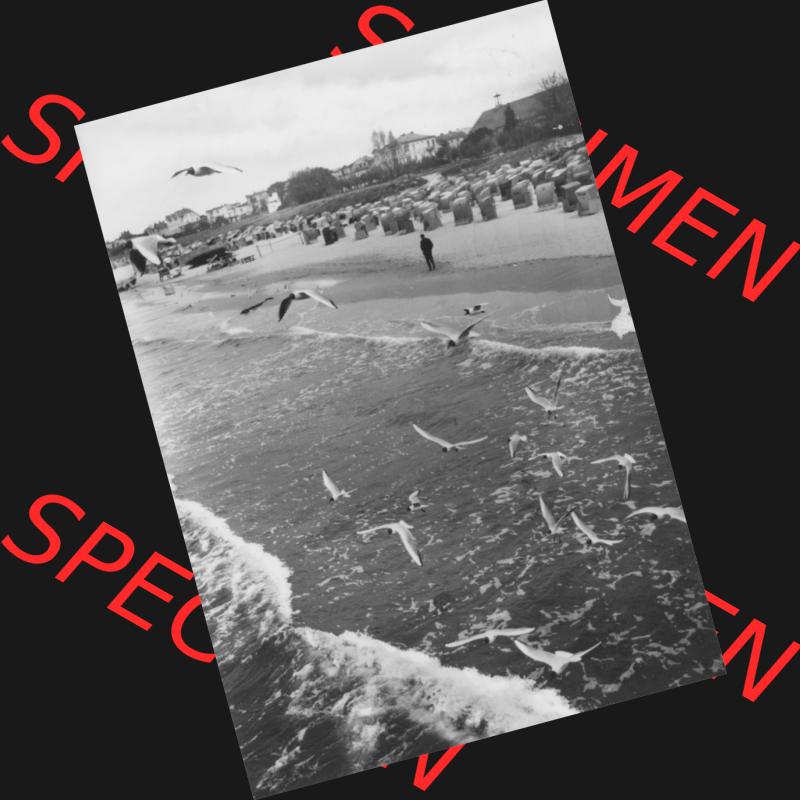 Alte Ansichtskarte der DDR Ahlbeck auf Usedom 1980, Hochformat, Blick zum Strand von der Ostsee aus. Digitales Bildmaterial von Ansichtskarten aus der DDR, der Deutschen Demokratischen... Sammlung
