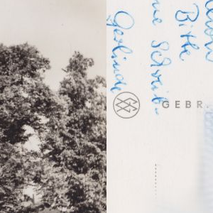 Ausschnitt zur Qualitätsprüfung vom Digitalen Bild Qualität