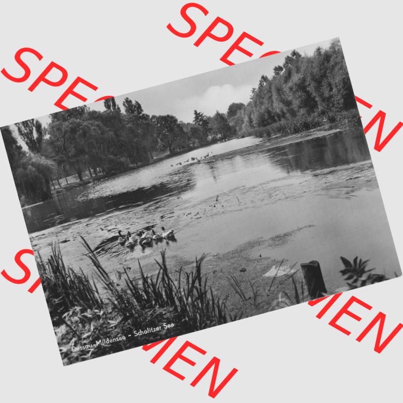 Ansichtskarte Heldge-Verlag Köthen/Anhalt DDR gemischte s/w, schwarzweiß, graustufen Sammlung der Jahre 1960er, 1967, Dessau-Mildensee- Schladitzer See.... Sammlung