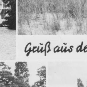 Ausschnitt zur Qualitätsprüfung vom Digitalen Bild Qualität