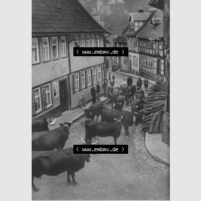 Sammlung