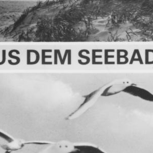 Ausschnitt zur Qualitätsprüfung vom Digitalen Bild Qualität