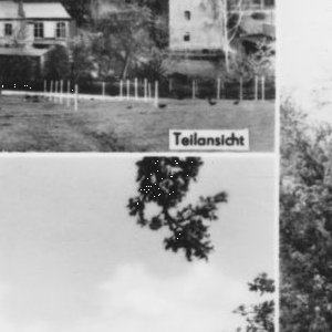 Ausschnitt zur Qualitätsprüfung vom Digitalen Bild Qualität