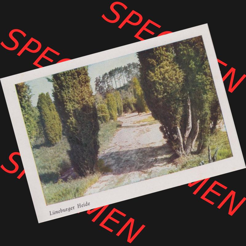 Lithographien Fotos, Heldge-Verlag Köthen/Anhalt Deutschland im farbigen Bild - 50 Heldge-farb-fotos Lüneburger Heide I. Sammlung von 50 Heldge-farb-fotos des Heldge-Verlages... Sammlung