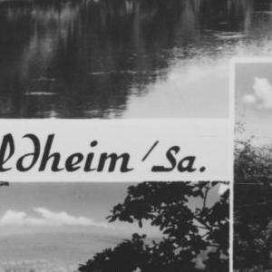 Ausschnitt zur Qualitätsprüfung vom Digitalen Bild Qualität