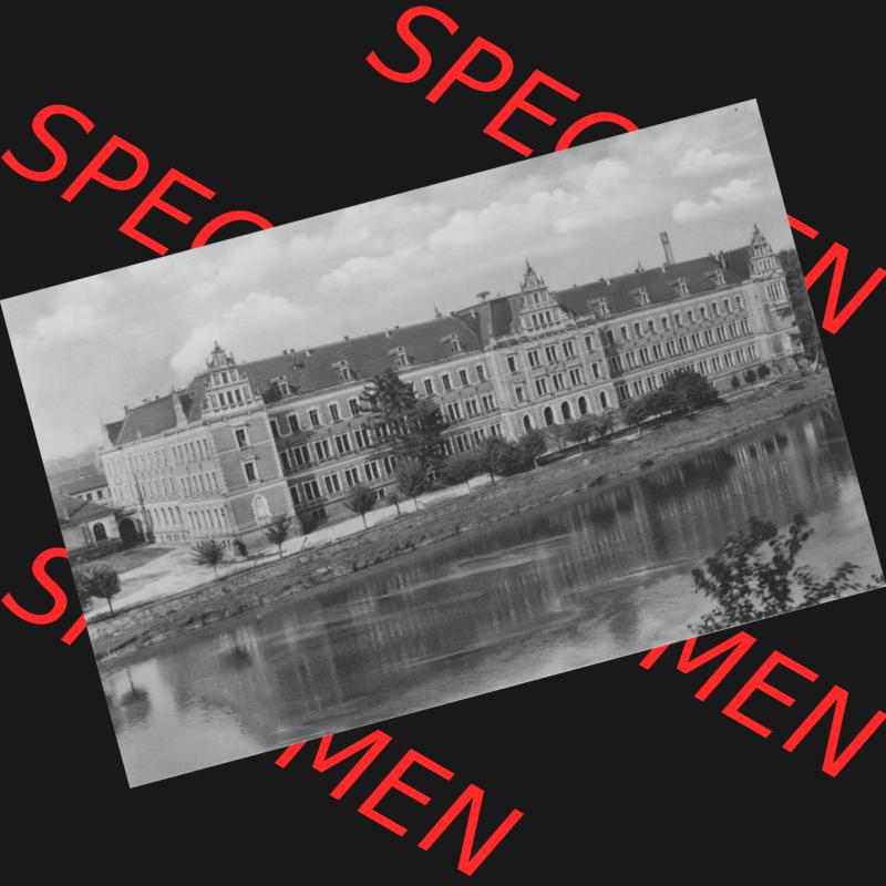 Ansicht Einbildkarte Erhard Neubert KG - Karl-Marx-Stadt DDR Sachsen 1961, Grimma in Sachsen, Oberschule, Einbildkarte. Digitales Bildmaterial von Ansichtskarten in s/w bzw.... Sammlung
