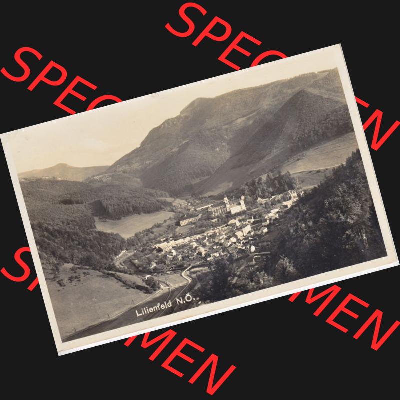 Ansichtskarte Österreich / Austria, Bundesland Niederösterreich: Unsortiert in s/w Schwarzweiß Lilienfeld in Österreich (1) Sammlung
