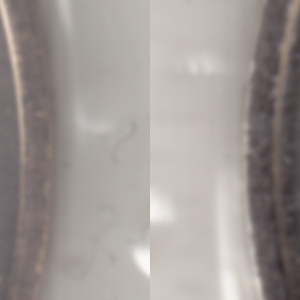Quadratbild