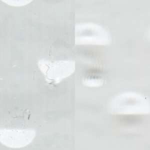 Quadratbild
