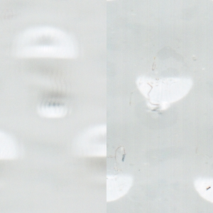 Quadratbild