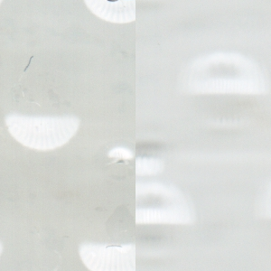 Quadratbild