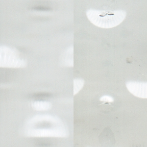 Quadratbild