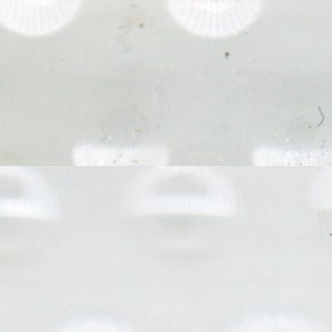 Quadratbild
