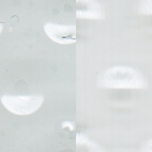 Quadratbild