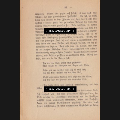 Weimarer Republik Wiesbadener Volksbücher 1920, Heft / Buch Nr. 17, Jenseit des Meeres (25) Sammlung