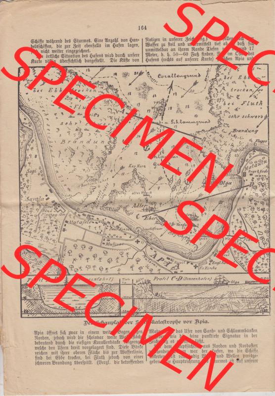 Deutsches Kaiserreich Bonn, Sonntagsblatt Illustrierte Beilage zur Deutschen Reichs-Zeitung 1889, Zeitung Nr. 21, 26. Mai 1889, Sonntagsblatt Seite 164 Sammlung