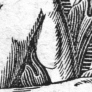 Ausschnitt zur Qualitätsprüfung vom Digitalen Bild Qualität