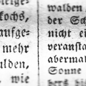 Ausschnitt zur Qualitätsprüfung vom Digitalen Bild Qualität