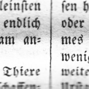 Qualität