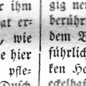 Ausschnitt zur Qualitätsprüfung vom Digitalen Bild Qualität