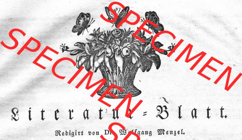 Morgenblatt 1832, Freitag 3 Februar, Nr. 13, Seite 49, Titelblatt vom Literatur-Blatt. Das Digitale Bild / Foto von einer Seite der Literaturblatt-Beilage Redigiert... Sammlung