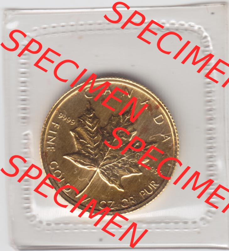 Amerika Kanada / Canada Goldmünze 1984, 5 Dollars 1/10 Unze Gold. Hier befindet sich eine Goldmünze aus Kanada als Digitales Bild im online Katalog zum katalogisieren und... Sammlung