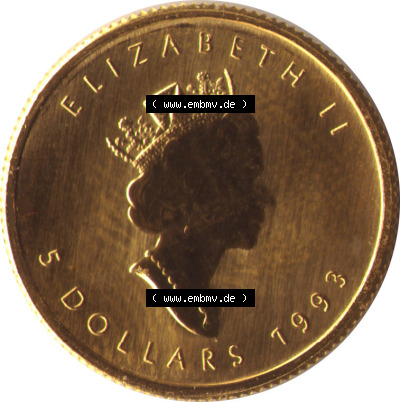 Amerika Kanada / Canada Goldmünze 1993, 5 Dollar 1/10 Unze. Hier befindet sich eine Goldmünze aus Kanada als Digitales Bild... Sammlung