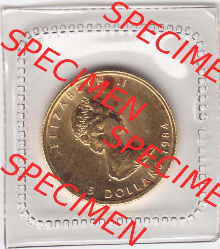 Amerika Kanada / Canada Goldmünze 1984, 5 Dollars 1/10 Unze Gold. Hier befindet sich eine Goldmünze aus Kanada als Digitales Bild im online Katalog zum katalogisieren und... Sammlung