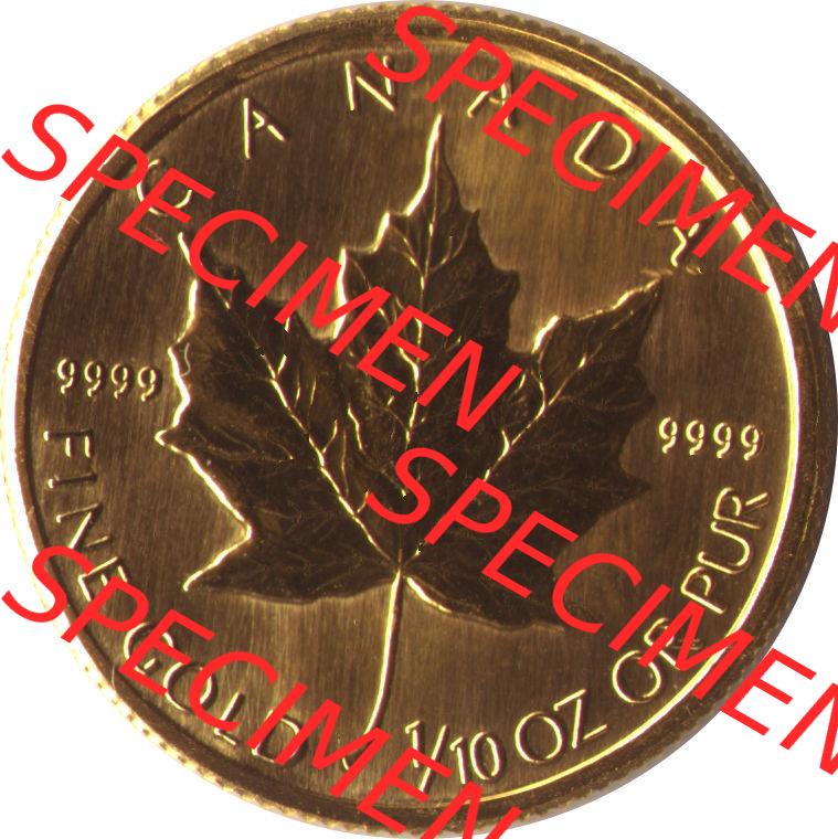 Amerika Kanada / Canada Goldmünze 1993, 5 Dollar 1/10 Unze. Hier befindet sich eine Goldmünze aus Kanada als Digitales Bild im online Katalog zum katalogisieren und kategorisieren... Sammlung
