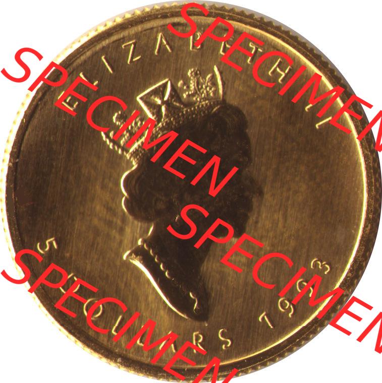 Amerika Kanada / Canada Goldmünze 1993, 5 Dollar 1/10 Unze. Hier befindet sich eine Goldmünze aus Kanada als Digitales Bild im online Katalog zum katalogisieren und kategorisieren... Sammlung