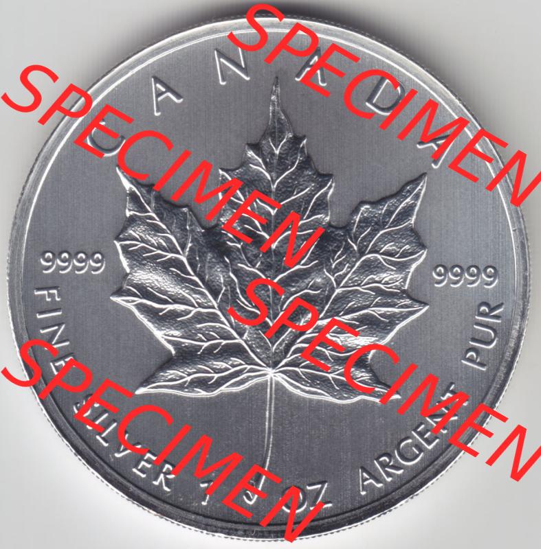 Kanada / Canada Silbermünze 2011, 5 Dollar Maple Leaf 9999er Silber weltweit berühmte Anlagemünze. Hier befindet sich die Vorderseite einer 5 Dollar Silbermünze aus... Sammlung