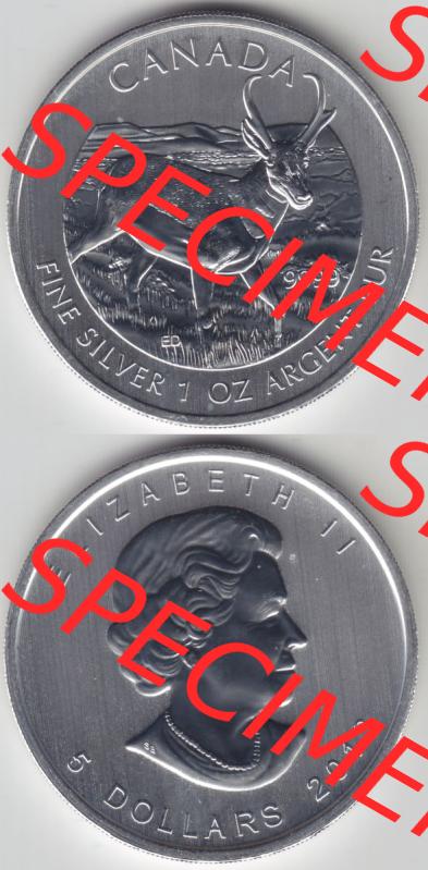 Kanada / Canada Silbermünze 2013-2013, 5 Dollars Wildlife Antilope. Hier befindet sich die Vorderseite und Rückseite einer Silbermünze der kanadischen Wildlife-Serie aus... Sammlung