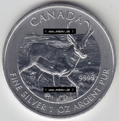 Kanada / Canada Silbermünze 2013-2013, 5 Dollars Wildlife Antilope. Hier befindet sich die Vorderseite einer Silbermünze der... Sammlung