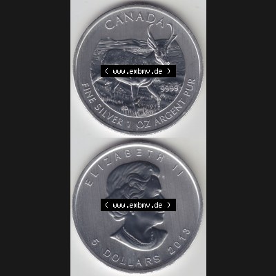 Kanada / Canada Silbermünze 2013-2013, 5 Dollars Wildlife Antilope. Hier befindet sich die Vorderseite und Rückseite einer Silbermünze der kanadischen Wildlife-Serie aus... Sammlung